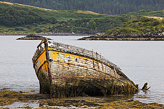 木船,沉没,水,苏格兰