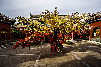 滦平县图片