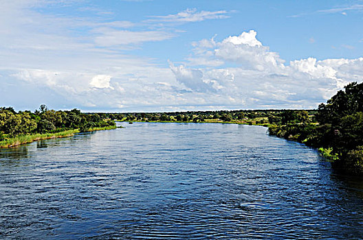 奥卡万戈河,河,卡普里酒,细条,纳米比亚,非洲