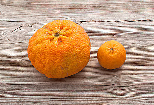 靠近,尺寸,柑橘
