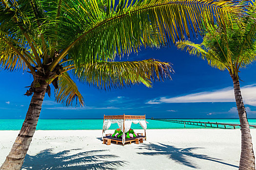 热带沙滩,漂亮,蓝天,棕榈树,地点,放松
