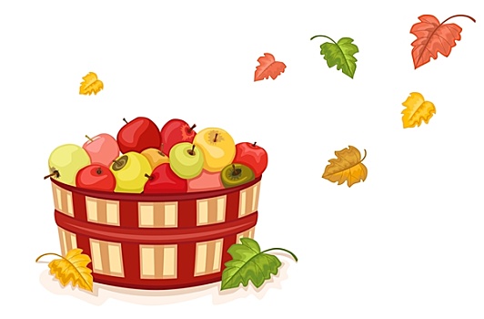 秋天,丰收,苹果,篮子
