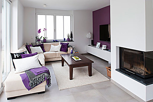鲜明,现代,室内,白色,角,沙发,暗色,木质,茶几,地毯,紫色,墙壁,壁炉