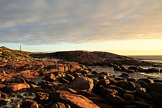 岩石,海岸线,岬角,灯塔,西澳大利亚州