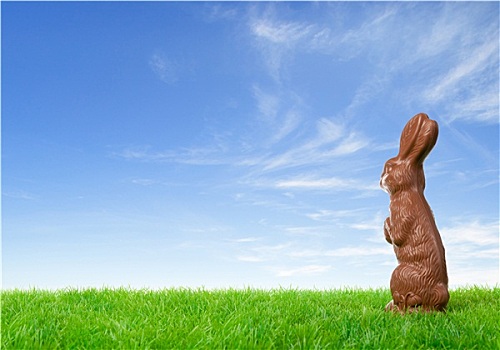 复活节巧克力兔,看,鲜明,天空