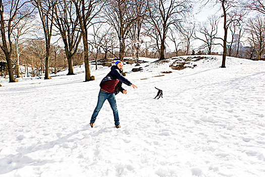 男青年,玩,狗,雪,中央公园,纽约,美国