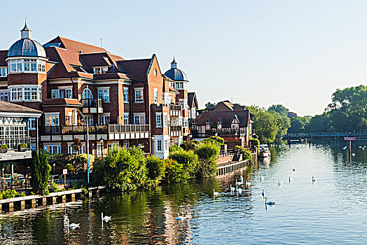 英格兰,伯克郡,温莎公爵,风景,泰晤士河,城镇,桥