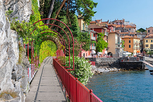 红色,花园,拱形,走,爱人,海岸线,漂亮,历史名城,边缘,科摩湖,意大利北部