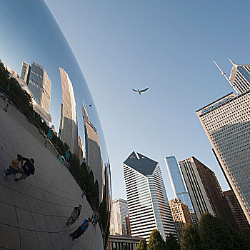 市区,反射,圆顶,芝加哥,伊利诺斯,美国