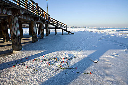 北戴河,大雪,雪后,海滨,浅水湾,对比,鲜艳,吸引,洁白,冬季,寒冷