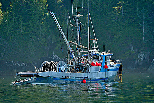 渔业,拖船,约翰斯顿海峡,加拿大