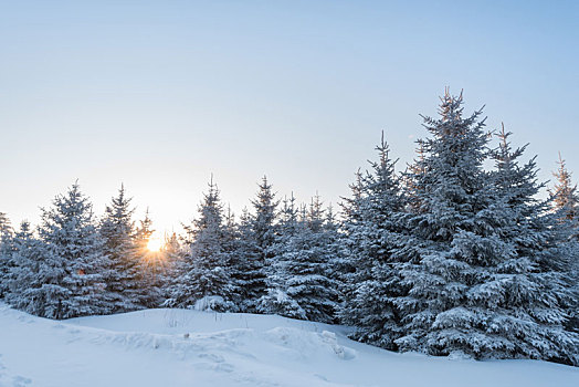 冬季长白山的雪地和雾凇