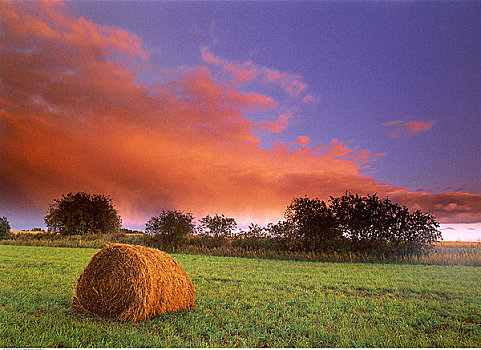 干草包,地点,日落,靠近,艾伯塔省,加拿大