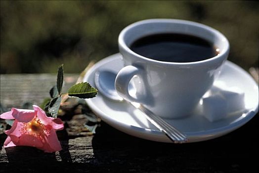 一杯咖啡,野玫瑰