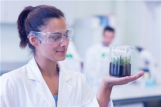 女性,科学家,分析,幼小植物,实验室