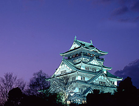 日本,大阪,城堡