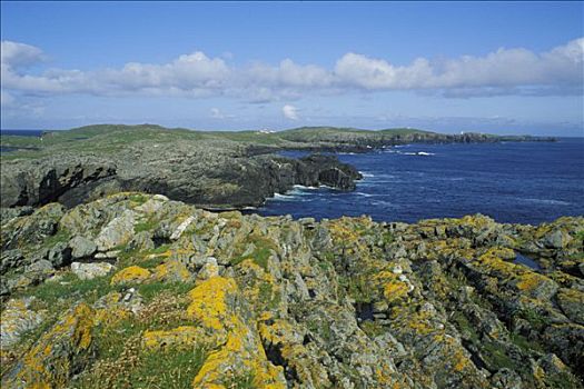 苏格兰,设得兰群岛,室外,岩岛,岛屿,石头
