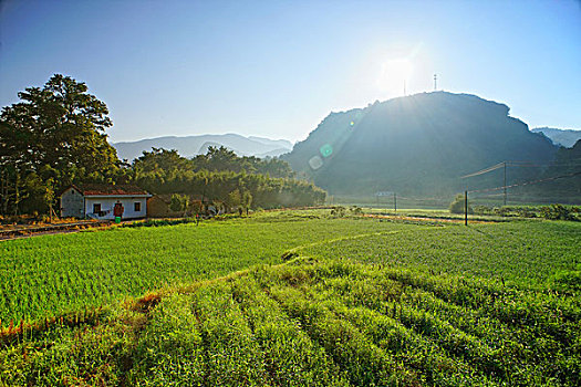 山里清晨的阳光