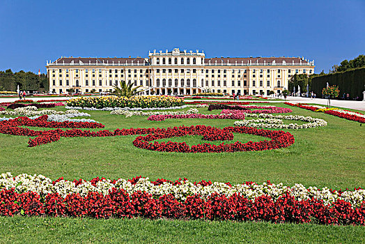 美泉宫,花,床,维也纳,奥地利,欧洲