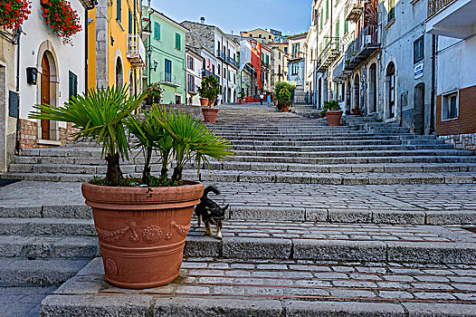 长,楼梯,老城,意大利,欧洲