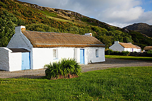 传统,爱尔兰,屋舍,蓝色,门,头部,多纳格