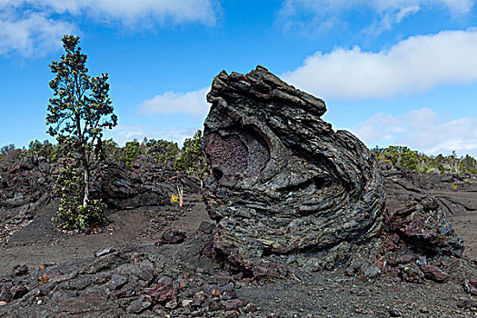 绳状熔岩,火山岩,排列,夏威夷大岛,夏威夷,美国