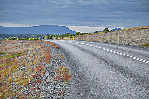 冰岛,国家公园,金色,圆,道路