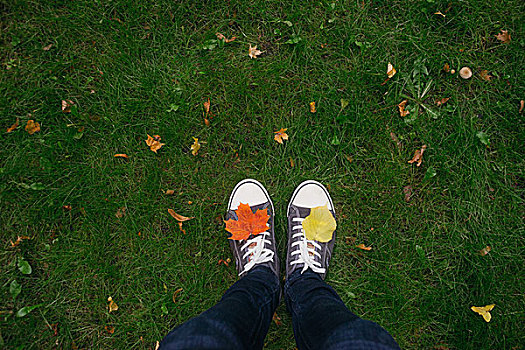 俯视,站立,男人,草地,运动鞋,彩色,秋叶,秋天,概念