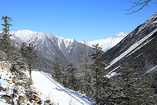 四川康定木格错