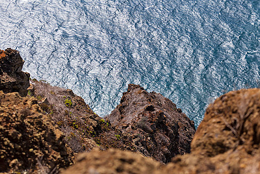 悬崖,海岸,靠近,马德拉岛,葡萄牙,欧洲