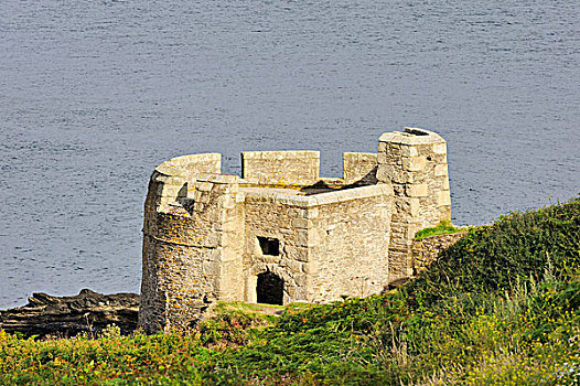城堡,遗址,头部,法尔茅斯,康沃尔,英格兰,英国,欧洲