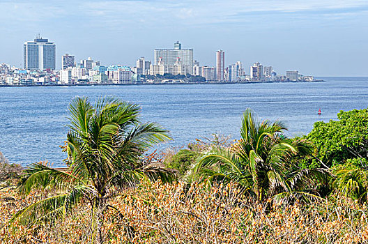 风景,哈瓦那,古巴,北美
