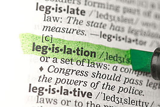立法,定义,突显,绿色,字典