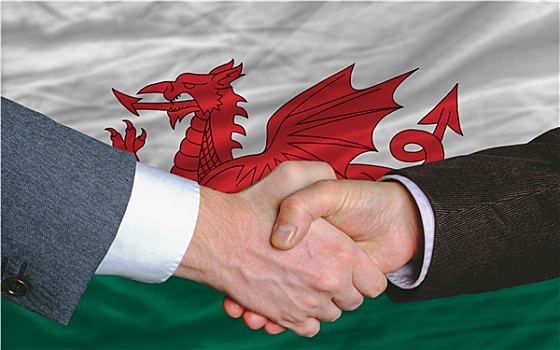 商务人士,握手,交易,正面,威尔士,旗帜