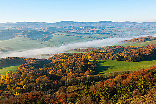风景,图林根,树林,秋天,靠近,埃森纳赫,图林根州,德国,欧洲