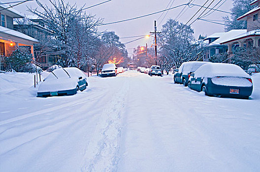 雪,遮盖,住宅,街道,道路,波特兰,俄勒冈,美国