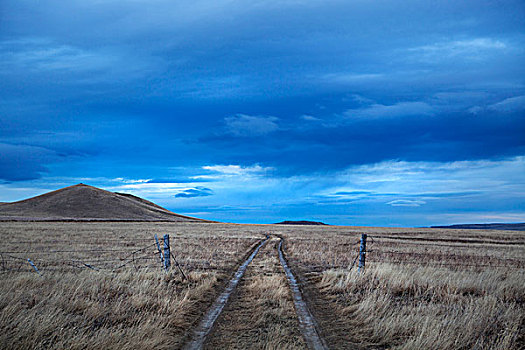 风景,牧场,道路,通过,围栏,蒙大拿,美国