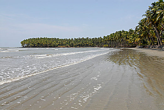 海滩,靠近,北方,喀拉拉,南印度,印度,亚洲