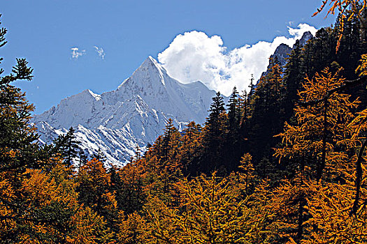 四川稻城风景