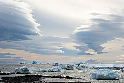 南极,布朗布拉夫,透镜状,云,展示,风,临近
