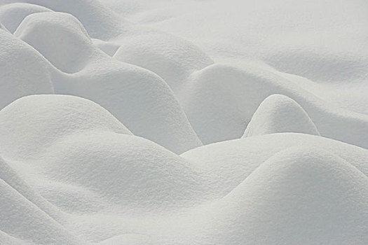 加拿大,魁北克,形状,初雪