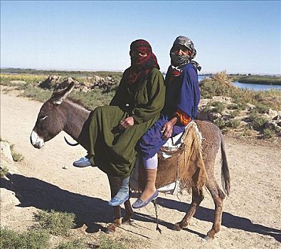 女人,驴,围巾,薄纱,骑,乡间小路,叙利亚,中东,东方,动物