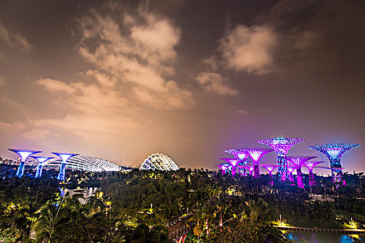 光亮,夜晚,花园,新加坡,亚洲