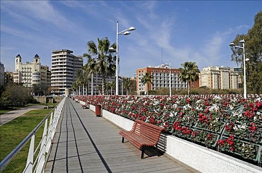 花,桥,图里亚,花园,城市公园,瓦伦西亚,西班牙,欧洲