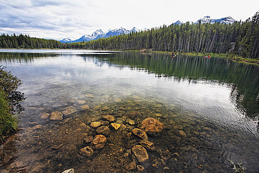 反射,树,湖,赫伯特湖,班芙国家公园,艾伯塔省,加拿大