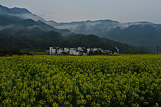 江南雾里乡村