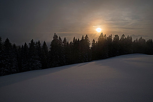 冬天,夜晚,兰格丽斯,巴伐利亚阿尔卑斯山,上巴伐利亚,巴伐利亚,德国