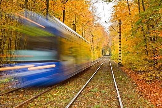 铁路,秋日树林
