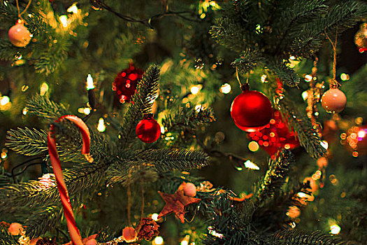 特写,装饰,线,亮灯,圣诞树
