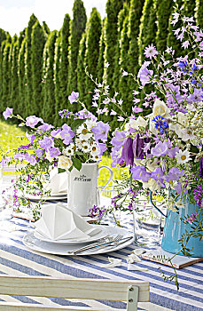 花瓶,花,花园桌,喜庆,蓝色,白色